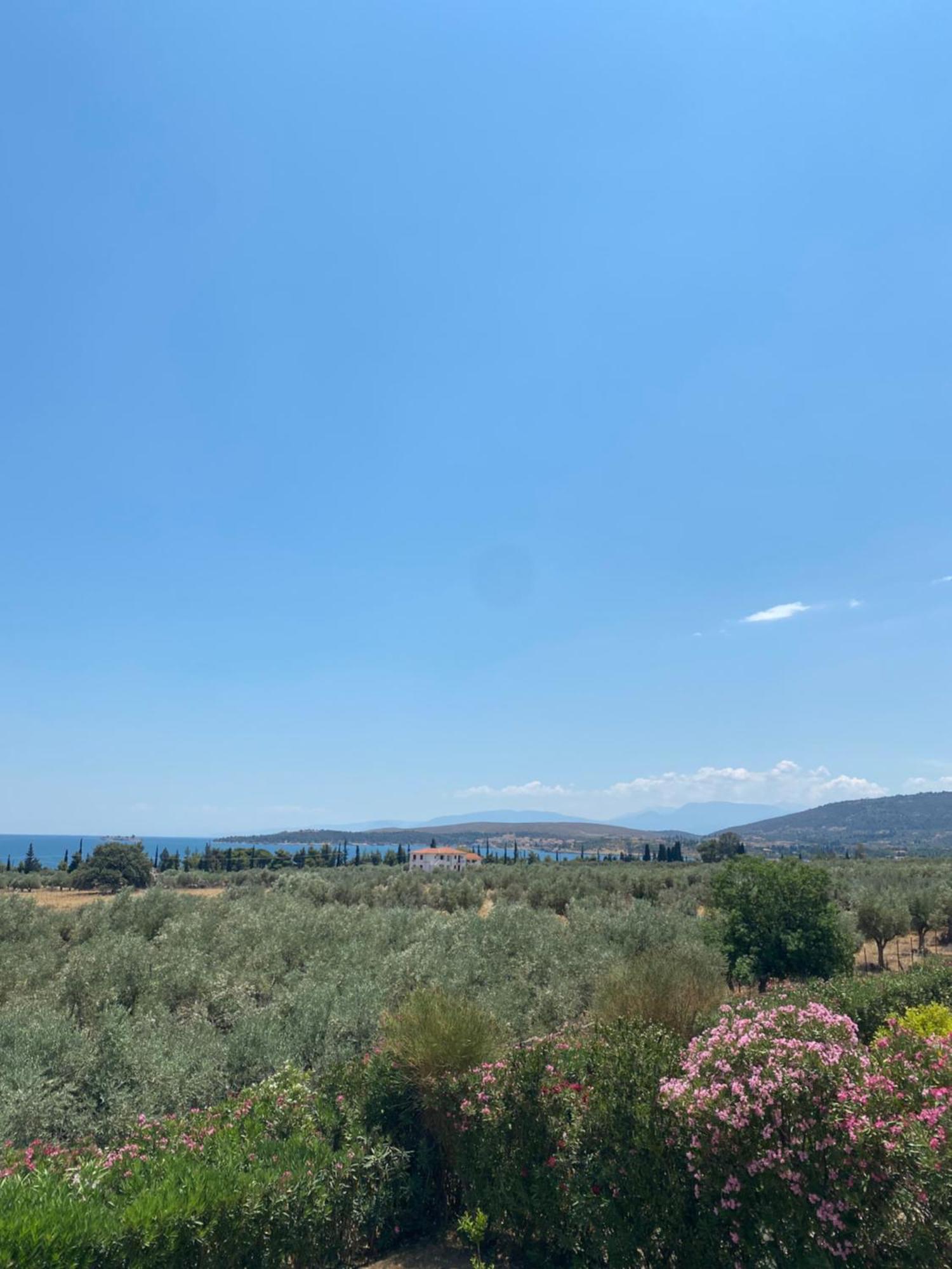 Georges Villa Galaxidi, Family, Pool And Garden Eksteriør bilde