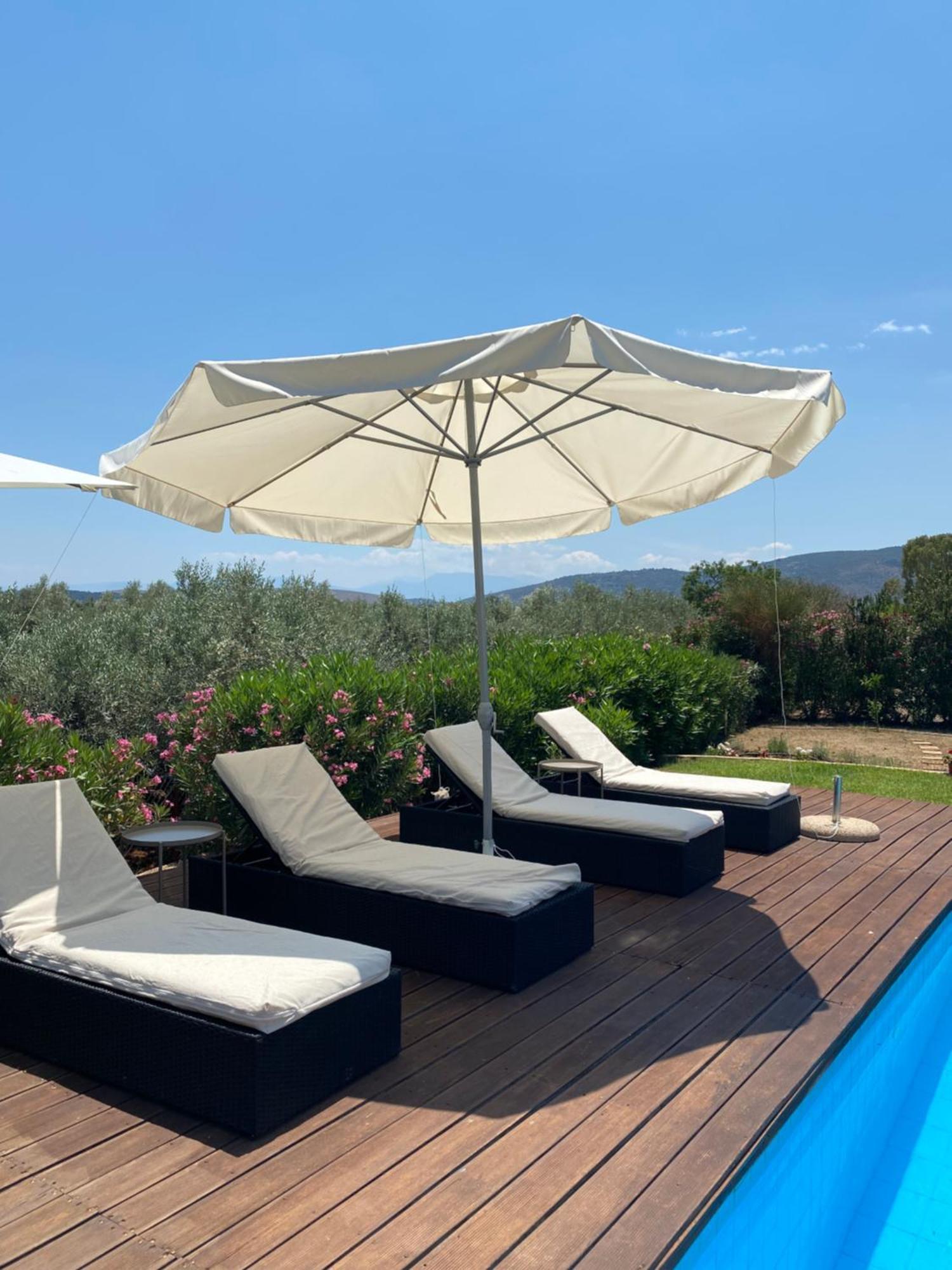 Georges Villa Galaxidi, Family, Pool And Garden Eksteriør bilde