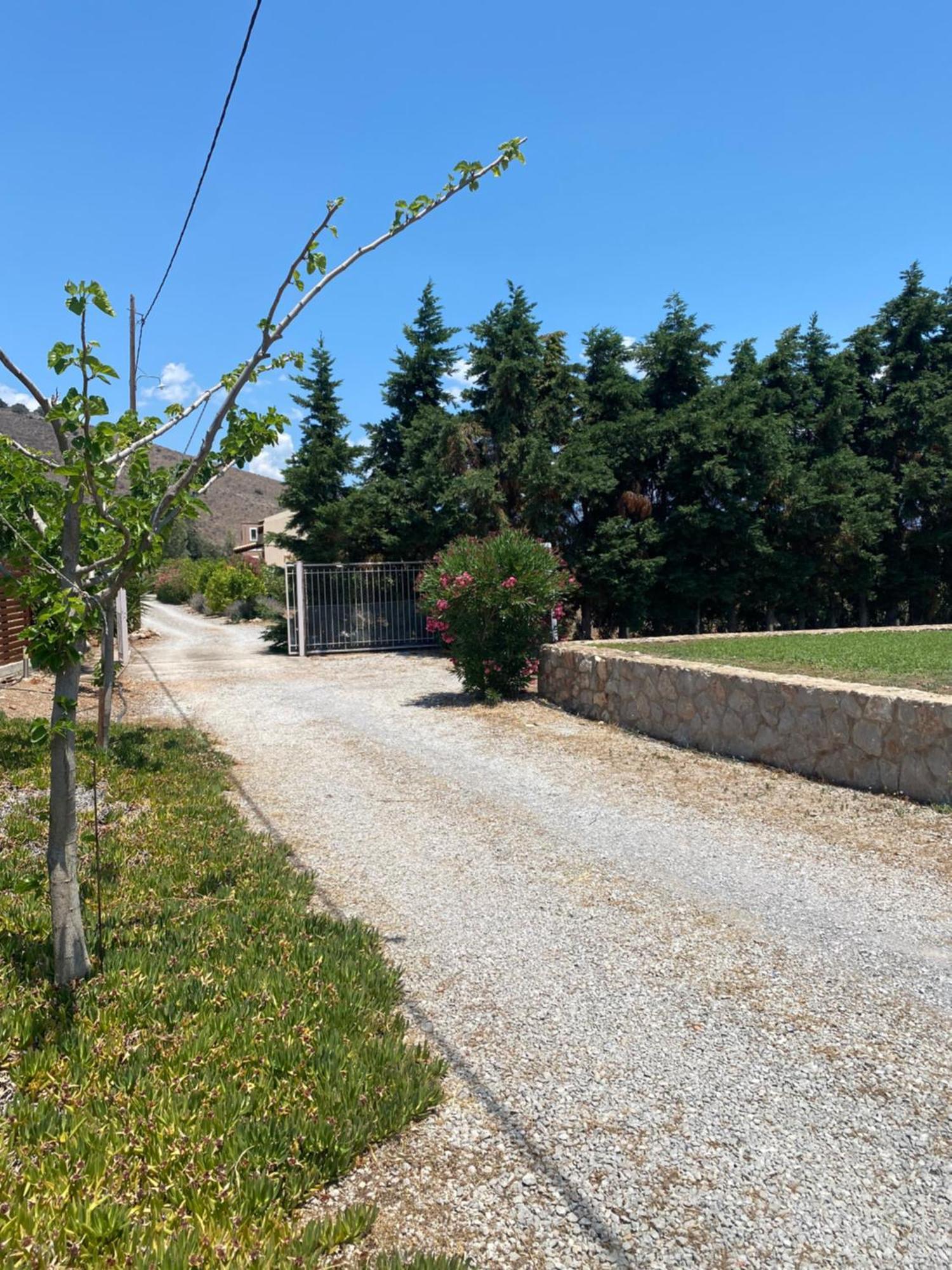 Georges Villa Galaxidi, Family, Pool And Garden Eksteriør bilde